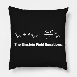 Einstein Field Equations Pillow