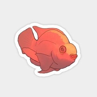 Blood Parrot Cichlid Magnet