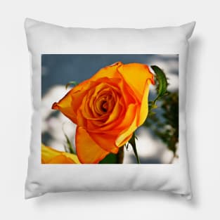 cli yellow rose Pillow