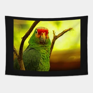 Portrait of a Parrot Tapestry