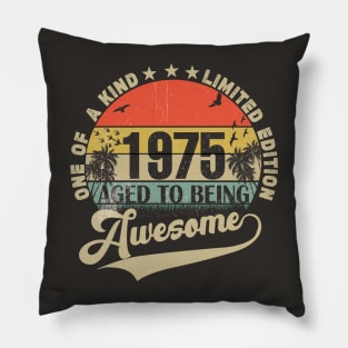 Vintage Year 1975 Pillow