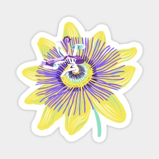 Passion flower (1) Magnet