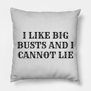 I Like Big Busts and I Cannot Lie Pillow