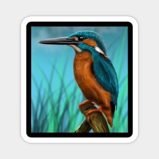 King Fisher Magnet