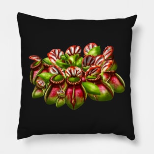 Botanical Cephalotus Follicularis Australien Pitcher Pitcher Plant Carnivorous Plant Gift Pillow