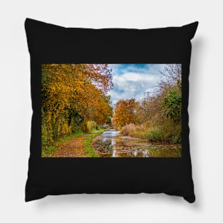 Autumn colours on the canal Pillow