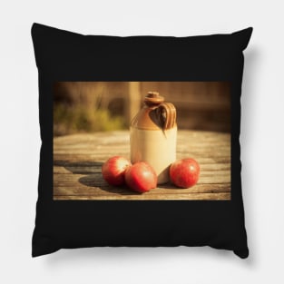 Summer Cider - Still Life - 2014 Pillow