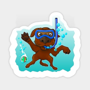 Dog in the pool Magnet