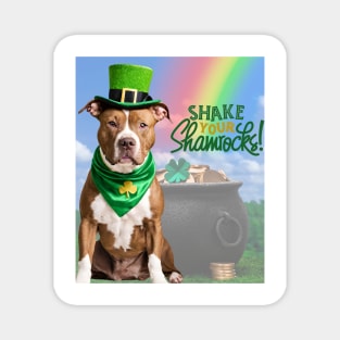 Happy St. Patrick’s Day Pittie Magnet