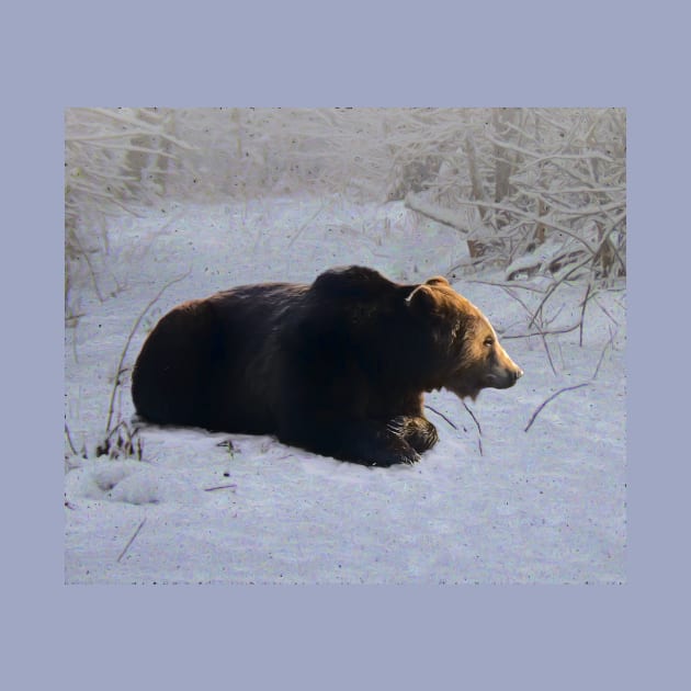 Brown bear in the snow by Guardi