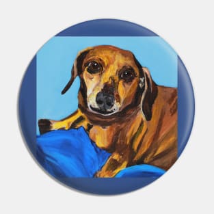 Max the Doxie Pin