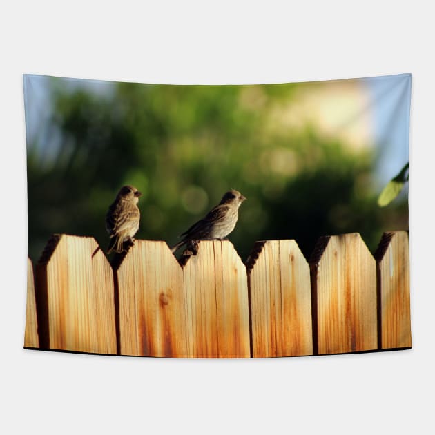 Sparrows on a Fence Tapestry by ButterflyInTheAttic