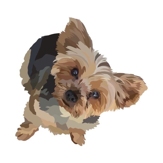 Yorkie Doodle by Poohdlesdoodles