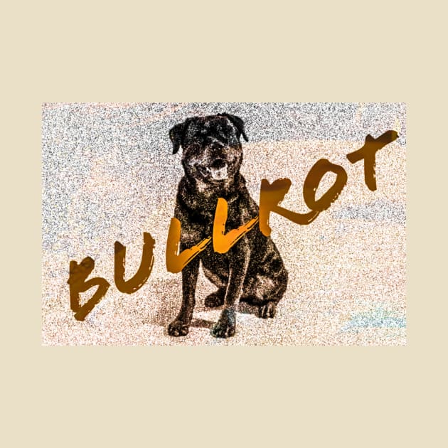 Bullrot Dog Sable et Nom by BULLROT