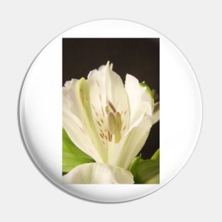 White flower closeup Pin