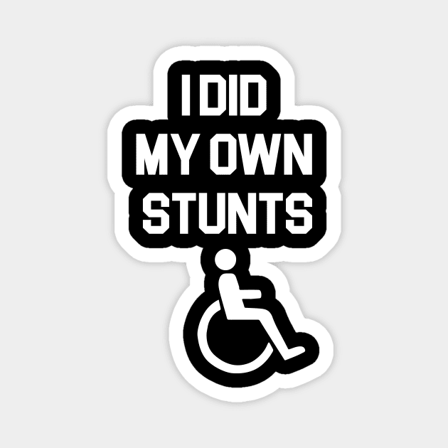 i did my own stunts Magnet by produdesign