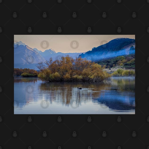 Serene Swan: A Majestic Sight in Glenorchy by Rexel99