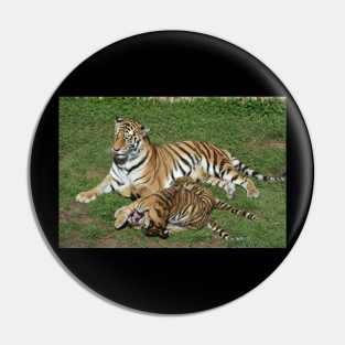 Tigers Pin