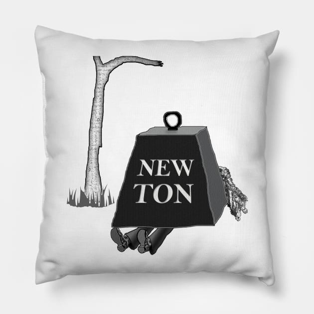 NewTon Pillow by blueshift