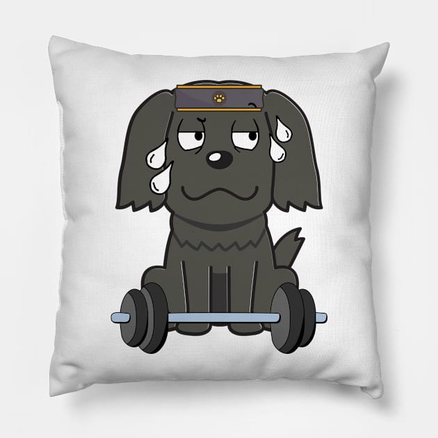 Funny black dog is exercising Pillow by Pet Station