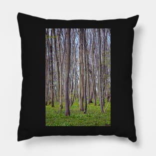 Hornbeam forest Pillow