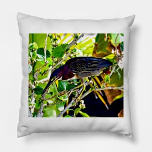 Green Heron Bird Pillow