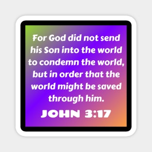 Bible Verse John 3:17 Magnet