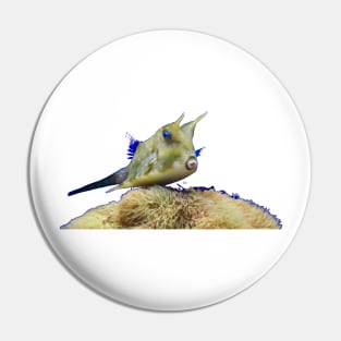 Devil fish underwater world / Swiss Artwork Photography Pin