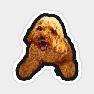 Cute smiling Cavapoo Cavoodle puppy dog - cavalier king charles spaniel poodle, puppy love Magnet