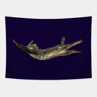 Stretch Tapestry