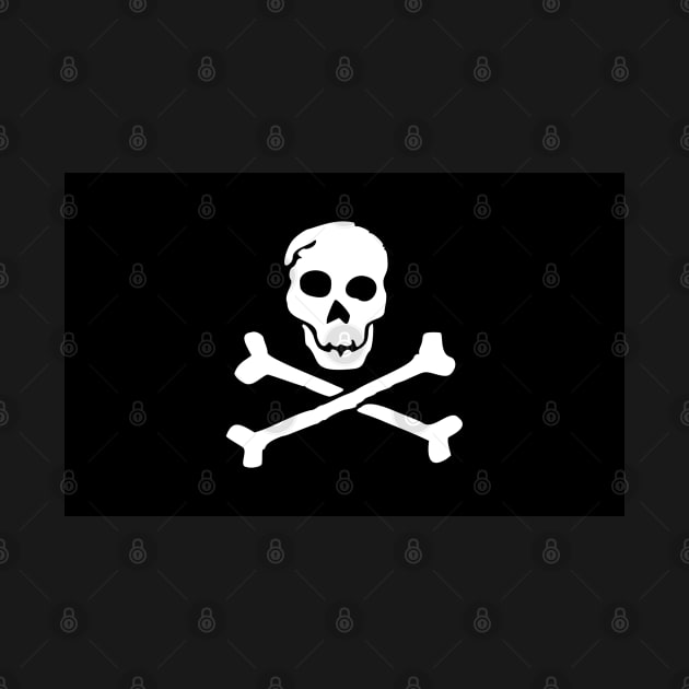 Pirate Flag Skulls and Crossbones by aaallsmiles