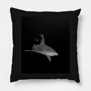 An Oceanic White Tip Shark and Pilot Fish Pillow