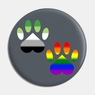 Aro Gay Pride Paws Pin