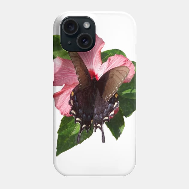 Swallowtail Black Butterfly On Hibiscus by Orikall Phone Case by Orikall