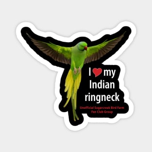 Indian ringneck parrot Magnet