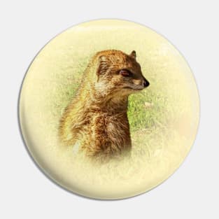 Yellow mongoose portrait Pin