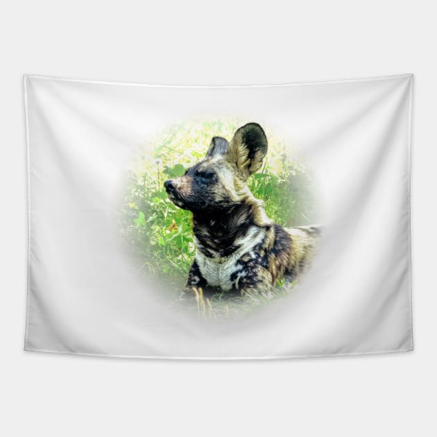 African wild dog Tapestry by Guardi