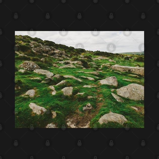 Dartmoor National Park - Many Rocks Embedded in Green Grass by visualspectrum