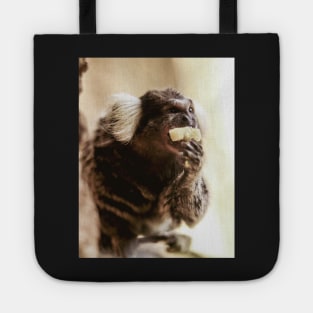 Marmoset | Unique Beautiful Travelling Home Decor | Phone Cases Stickers Wall Prints | Scottish Travel Photographer  | ZOE DARGUE PHOTOGRAPHY | Glasgow Travel Photographer Tote