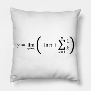 Euler Constant - Calculus And Math Pillow