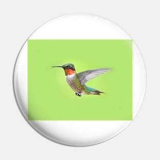 Ruby Throated Hummingbird Male Pin