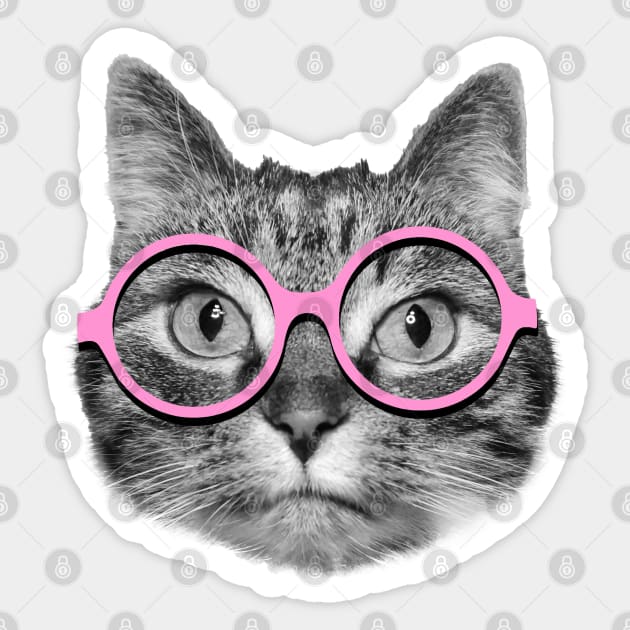 kawaii oversized kitty glasses in pink