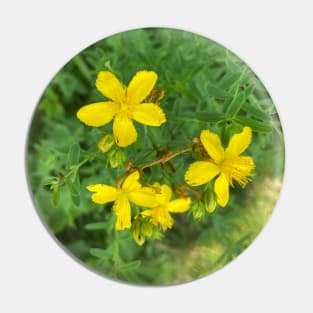 Pretty Yellow Wildflowers Pin