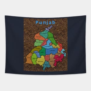 Punjab Tapestry