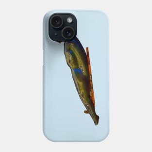 Toboggan sculpture Phone Case