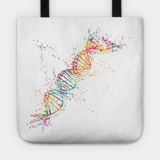 DNA molecule Tote