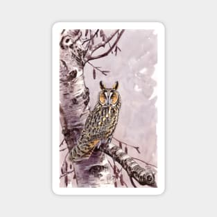 Long-eared Owl Magnet