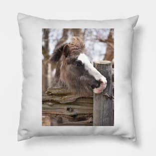 Merrylegs Pillow