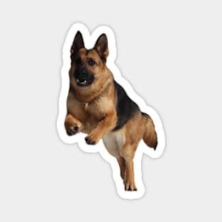 German Shepherd - Good Times Magnet