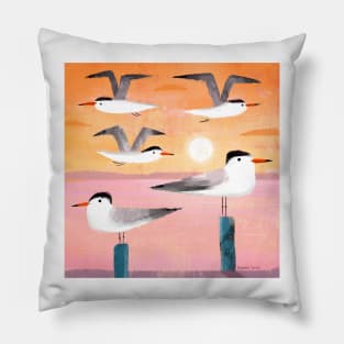 Caspian Terns at Sunset Pillow